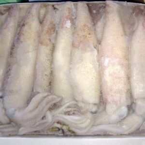 Squid<br>(CA)