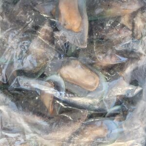Green Lip Mussels<br>(Whole or 1/2 Shell)