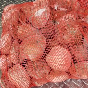 Hardshell Clams<br>(Whole in Shell)