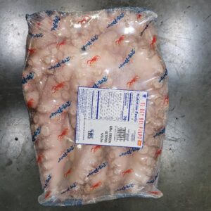 Octopus (Wild)