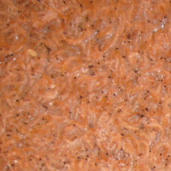 Krill<br>(Superba & Pacifica) - Image 2
