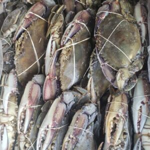 Blue Crab<br>(Whole)